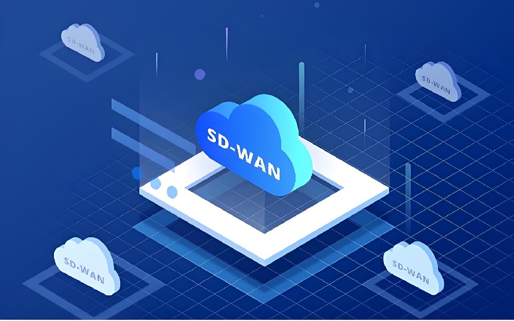 SD-WAN组网